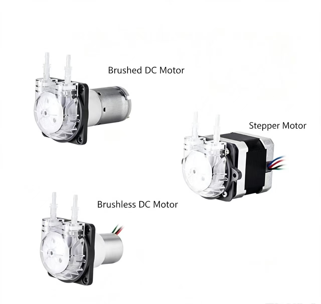 Mini Peristaltic Pump 12V - Bomba Peristáltica Micro PENGPU 24V com